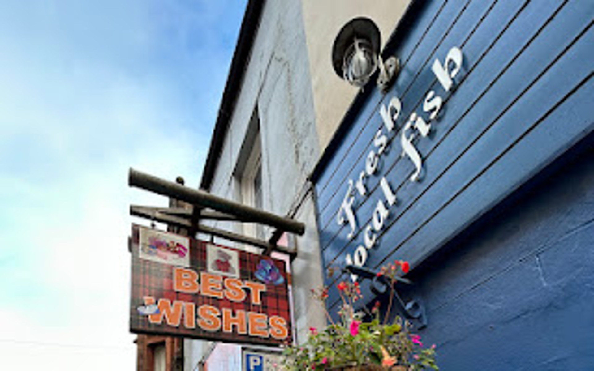 Background image - Img 1217