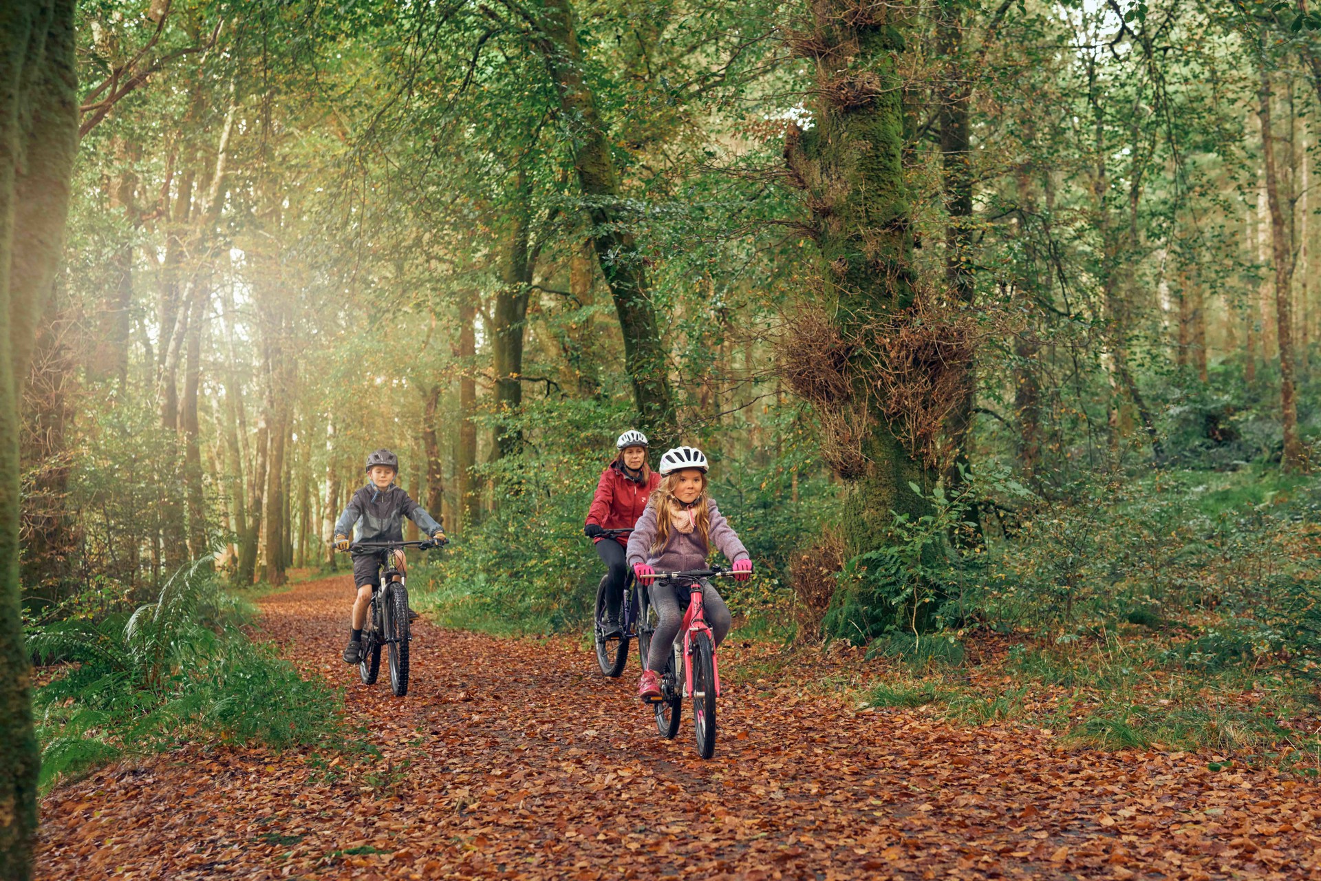 Background image - Mountainbike8