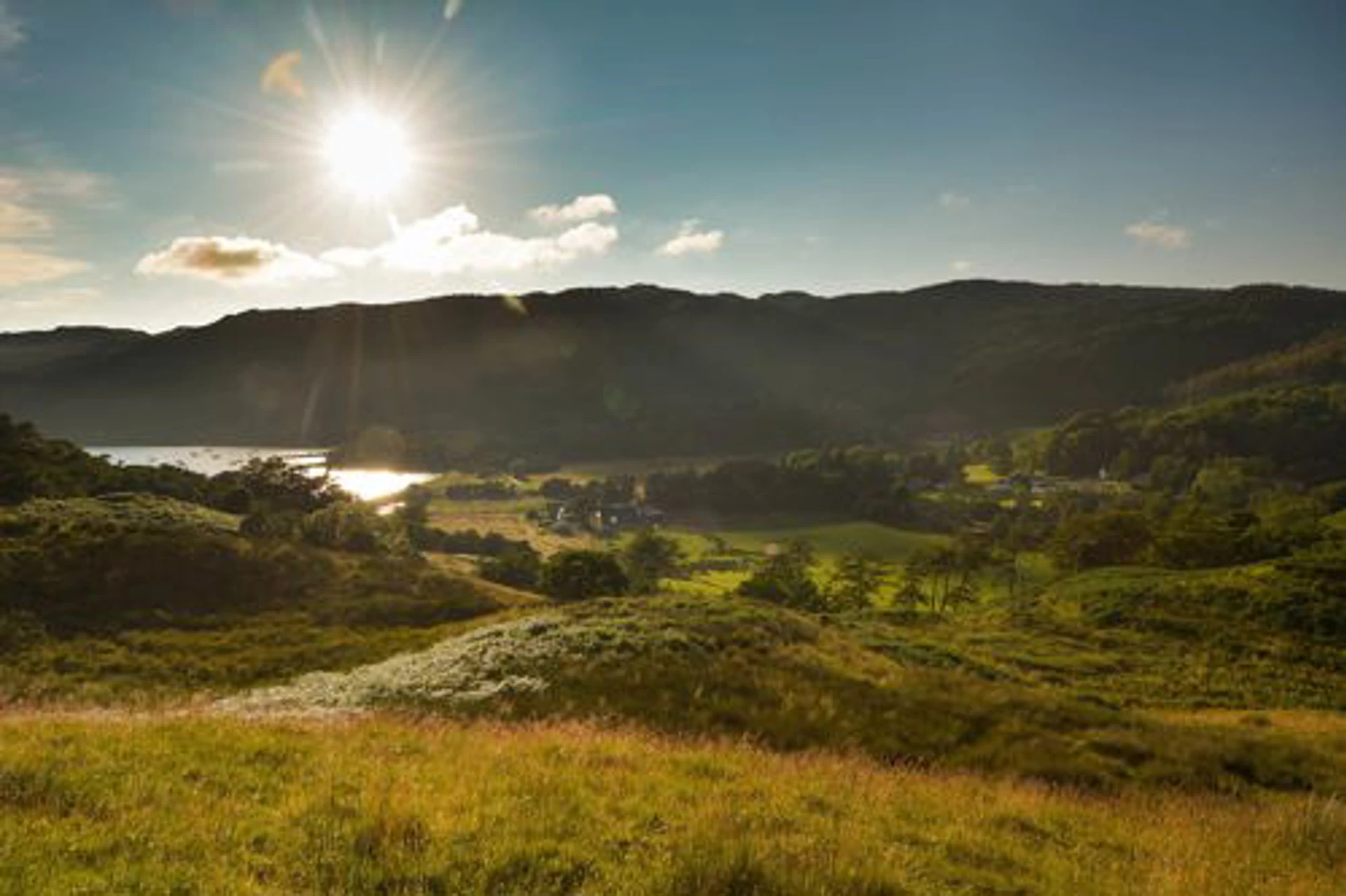 Background image - southqueensferryqfcrossing-roadbridge2.jpg
