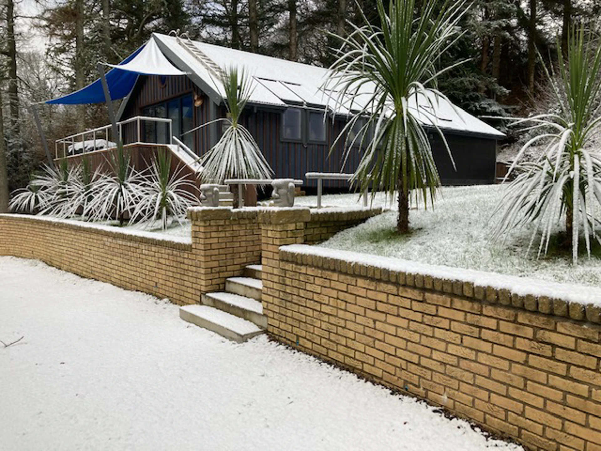 the_palms_in_winter.jpg (1)