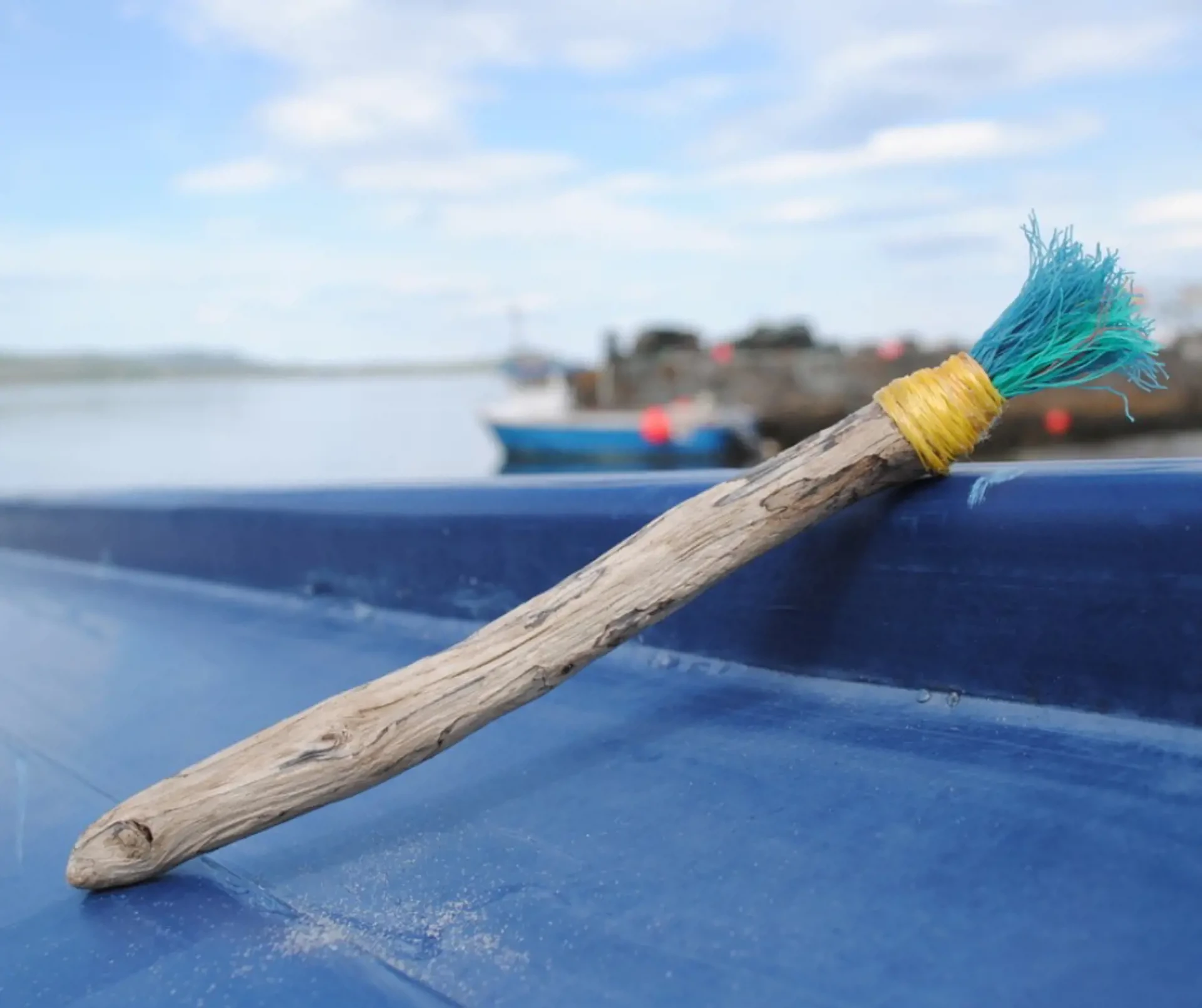 Background image - charts-coastal-cultures.jpeg