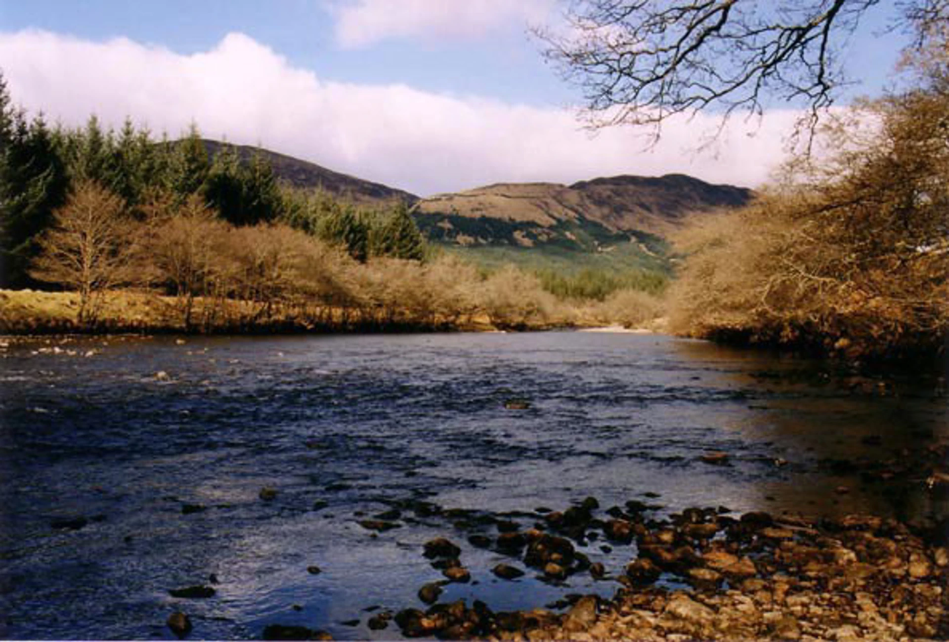 glen-orchy4.jpg